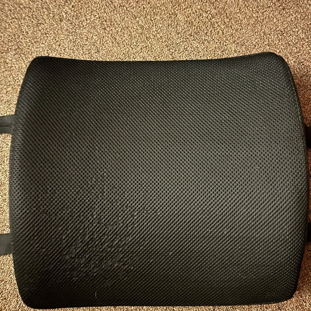 Computer Chair Back Rest - Picture 1 of 3